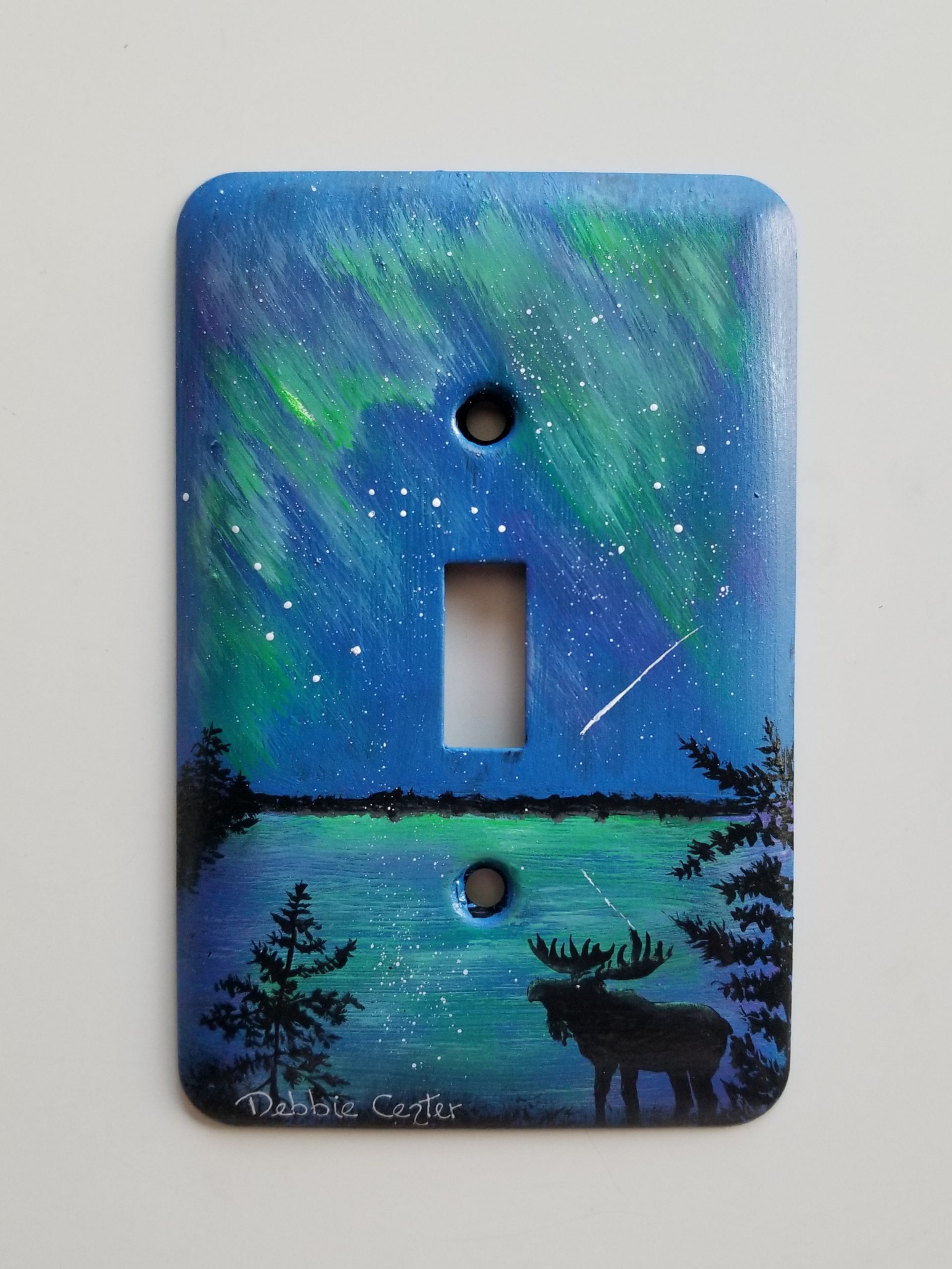 Light Switch Covers, Custom Painted to Your Preferences, Starting at $45 (6-8 week lead time)