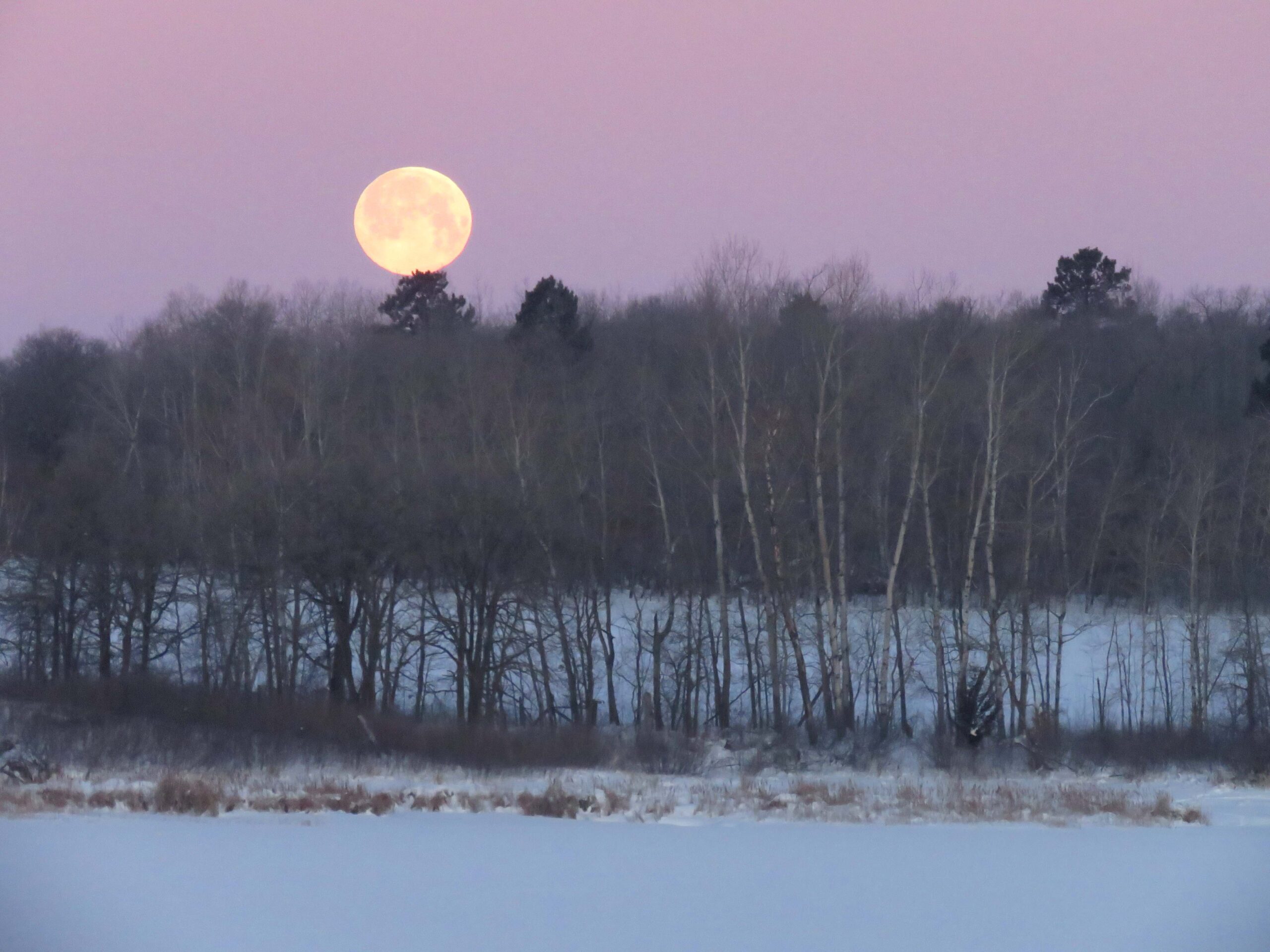Winter -- February Super Moon