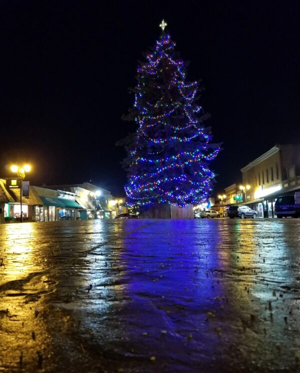 Winter -- Christmas Tree on Main Street in Park Rapids, Minnesota