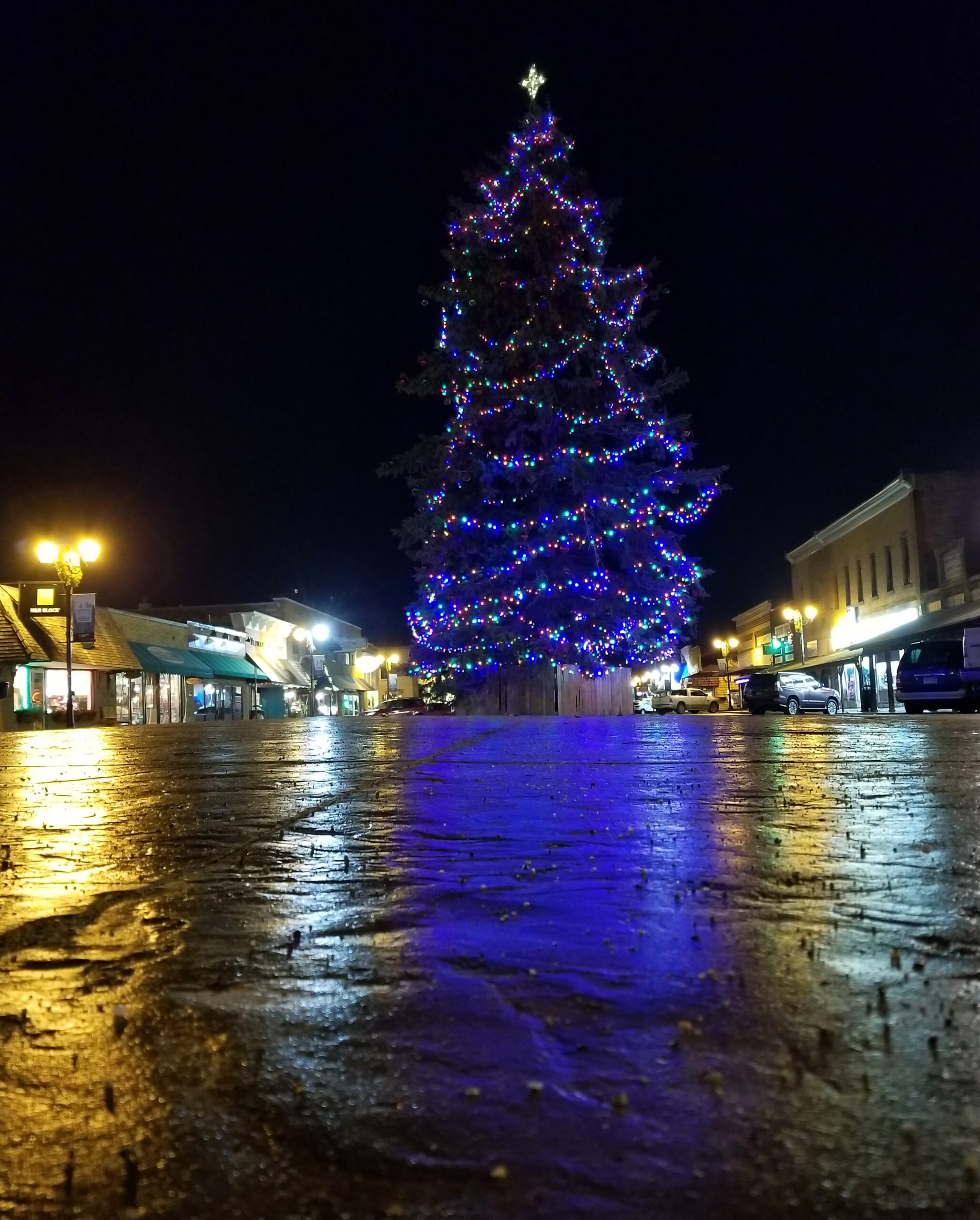 Winter -- Christmas Tree on Main Street in Park Rapids, Minnesota