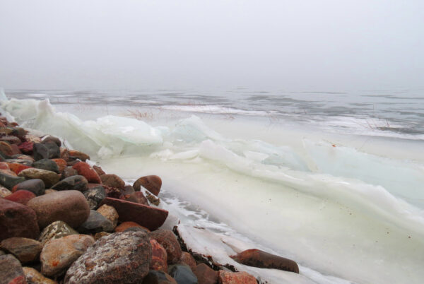 Winter -- Frozen Waves
