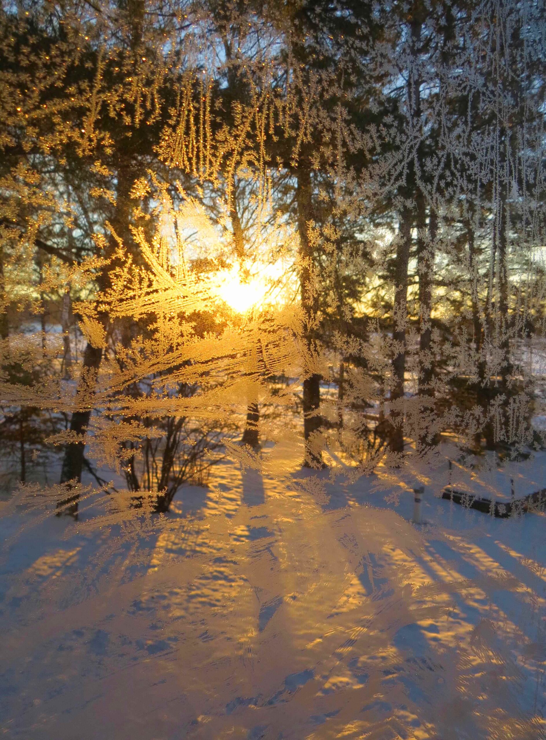 Winter -- Sunrise through a Frosted Window