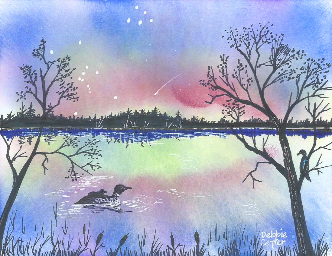 Artwork Note Card -- Loon under Pastel Aurora Skies